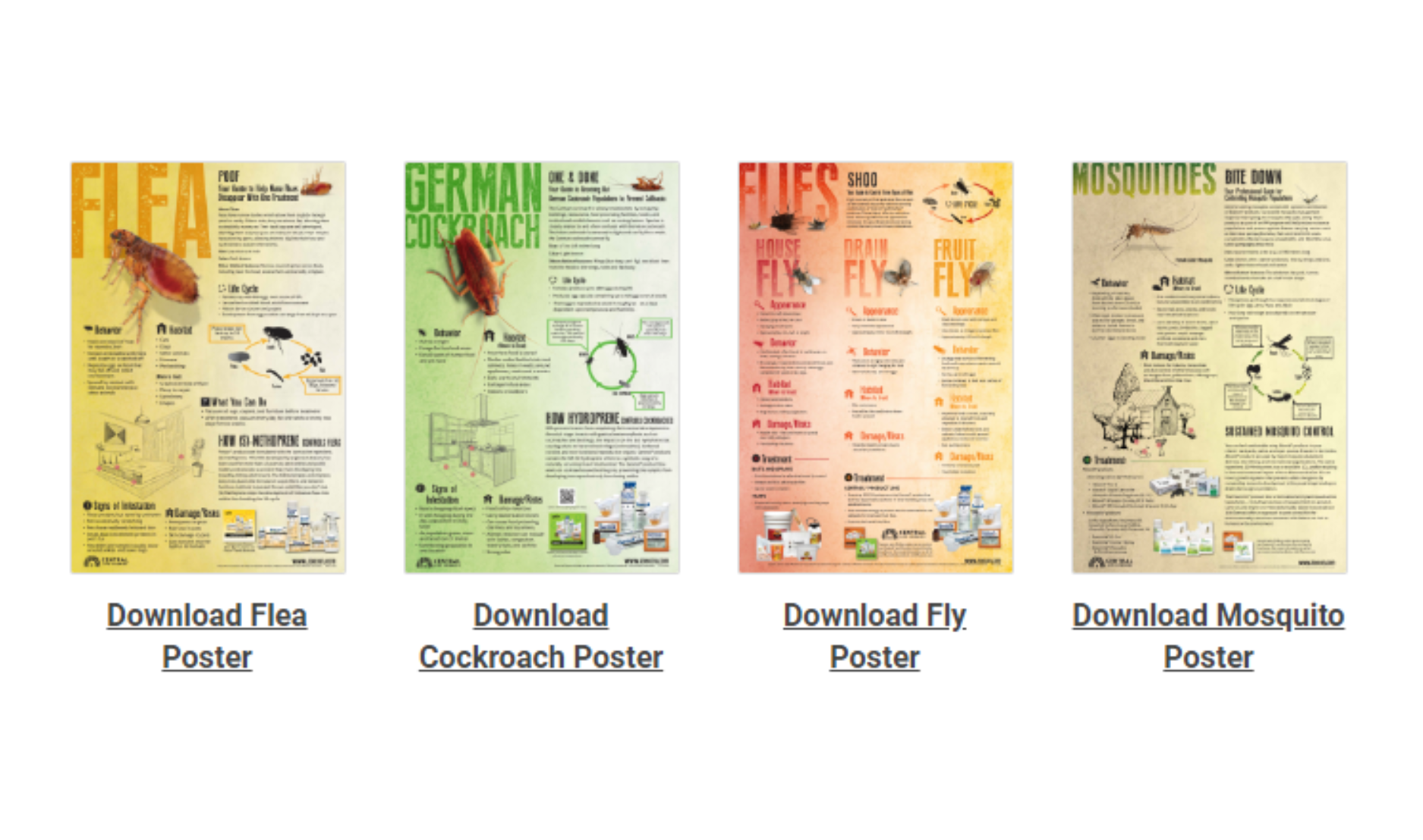 Posters
