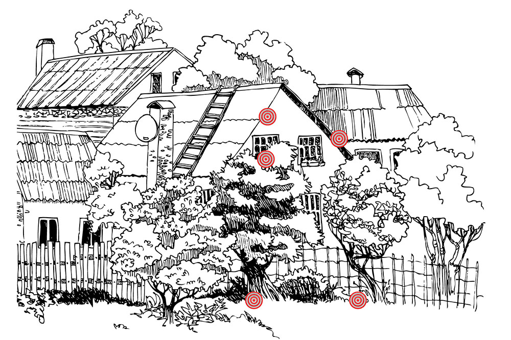 backyard-protocol-guide