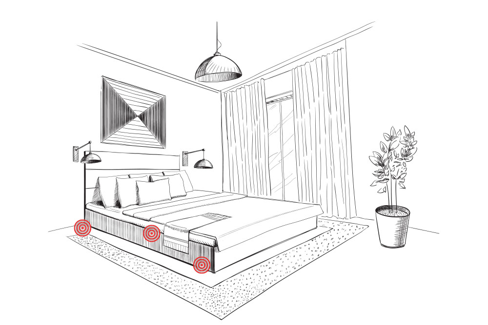 Bed Bug Treatment Bedroom Protocol