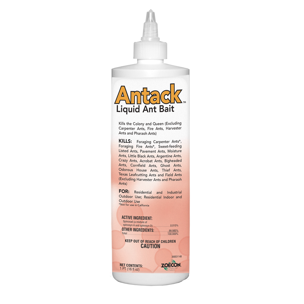 Antack Liquid Ant Bait