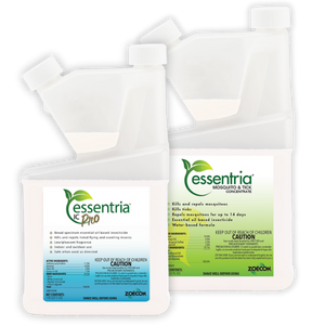 Essentria duo (1)