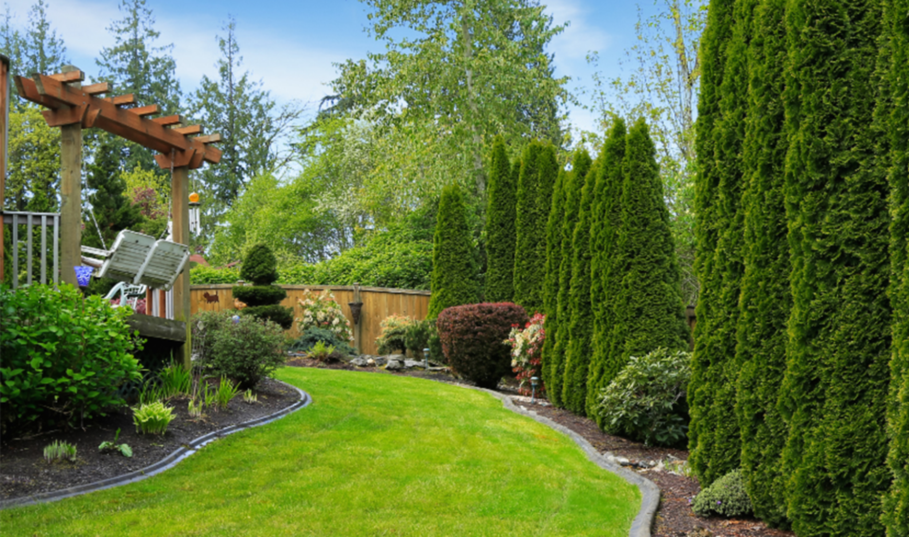 Outdoor green yard