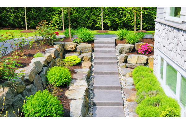 Outdoor steps and greenery