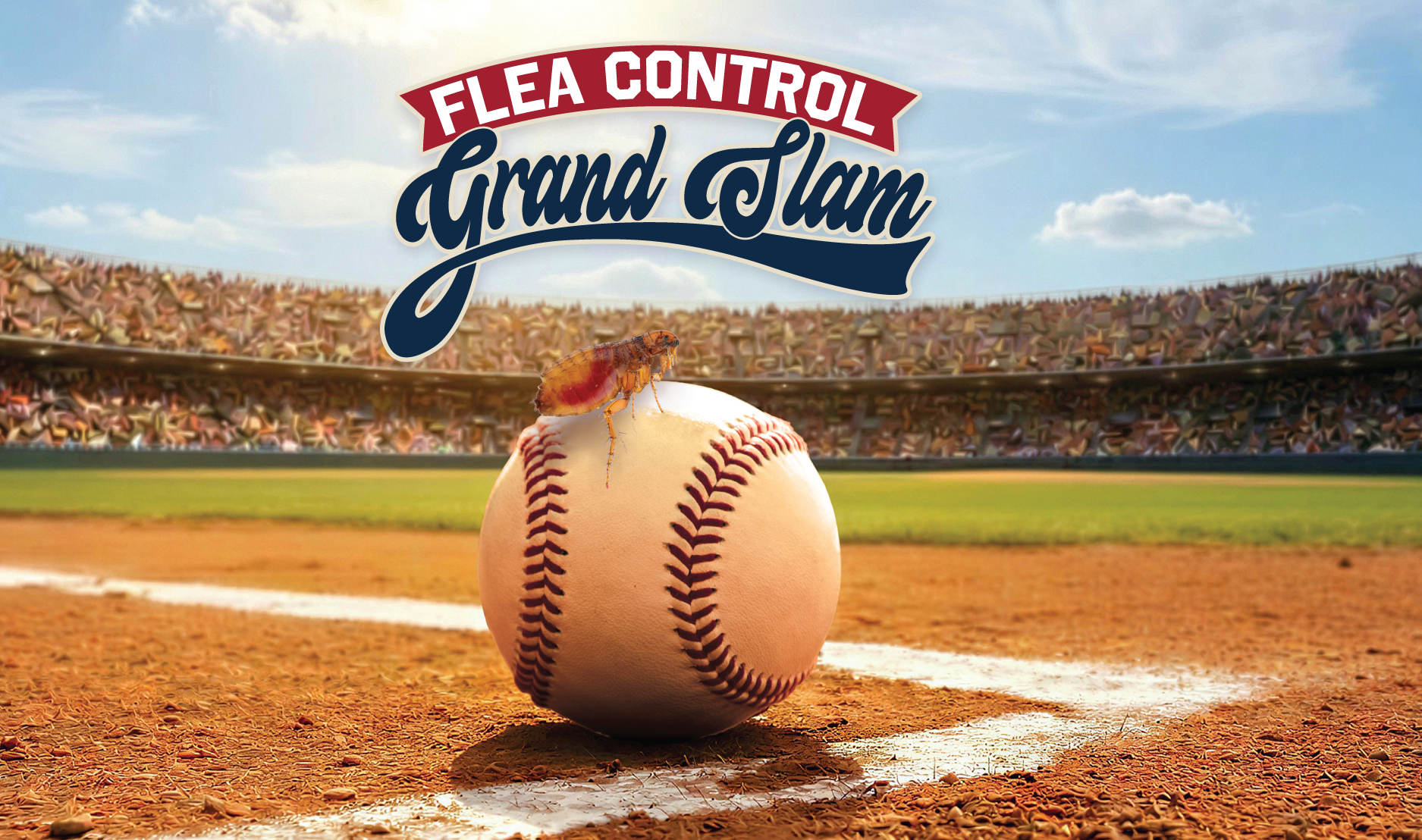 Flea Control Grand Slam