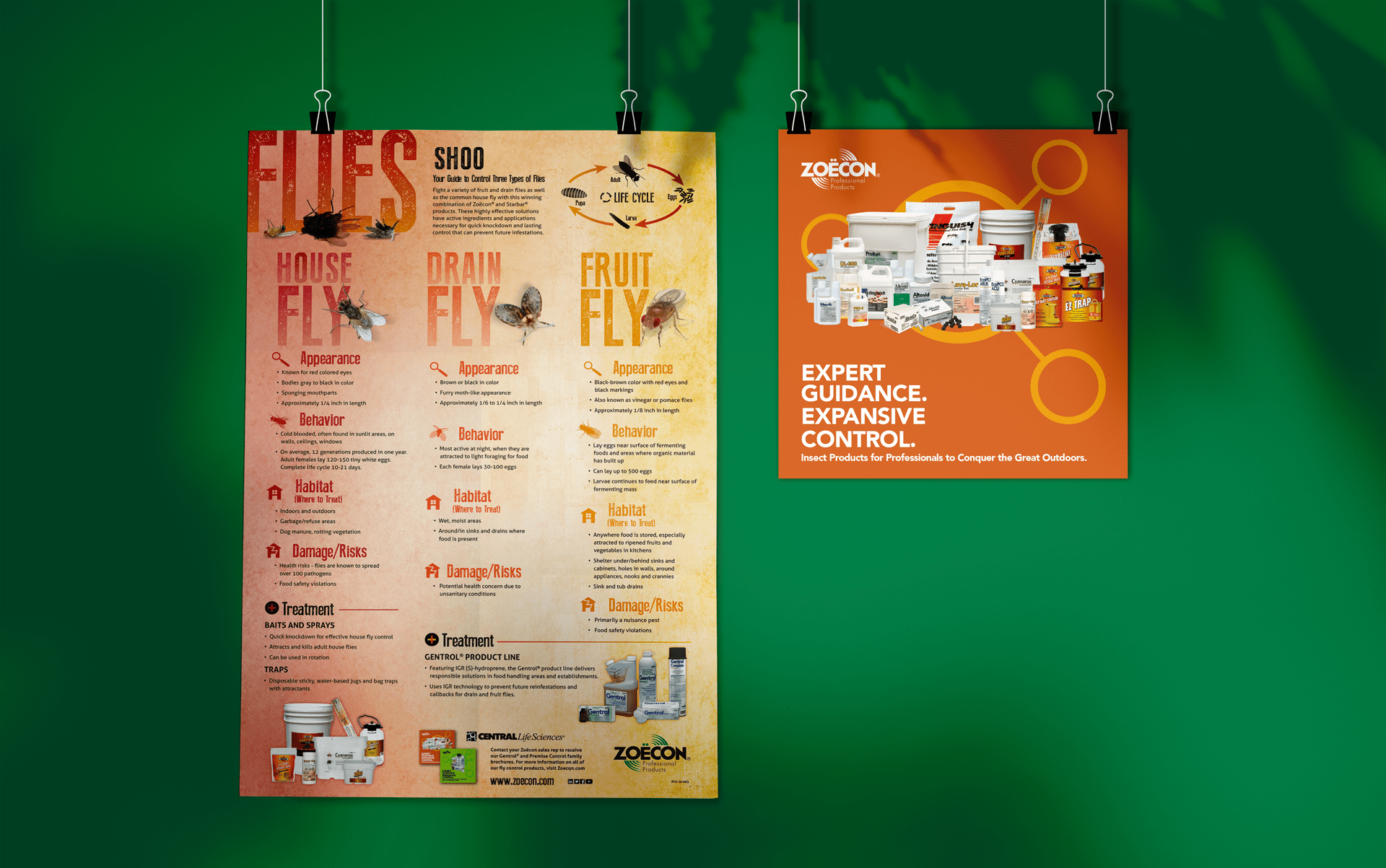 Flies Insects Zoëcon Professional Products