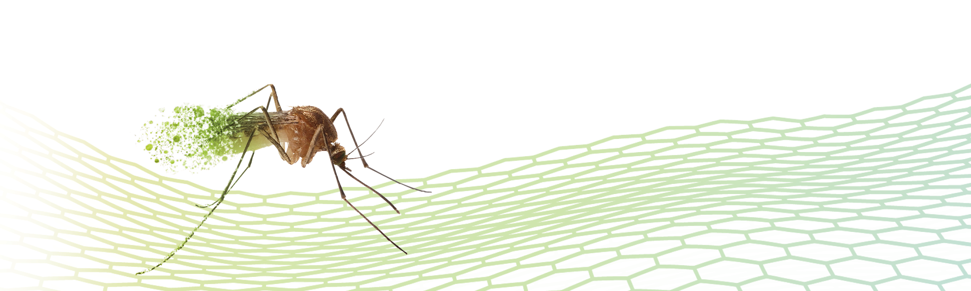 Mosquitoes Insects Zoëcon Professional Products