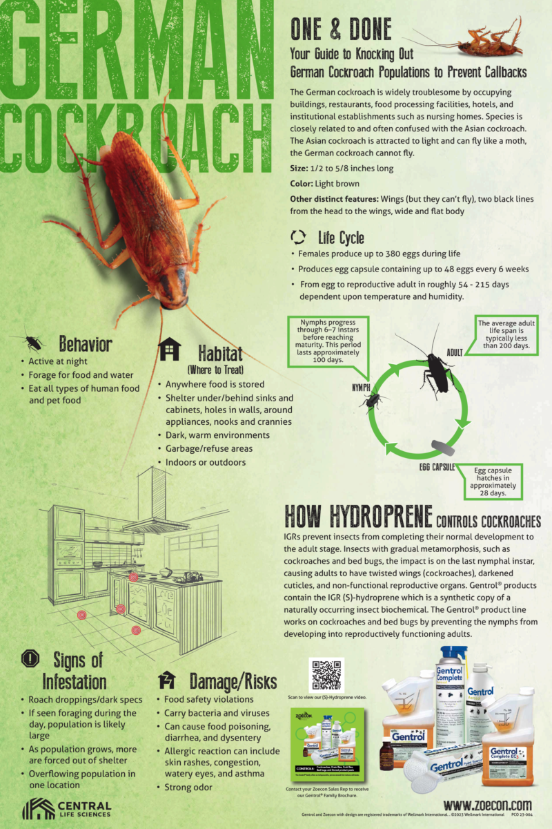 Zoecon Cockroach Poster