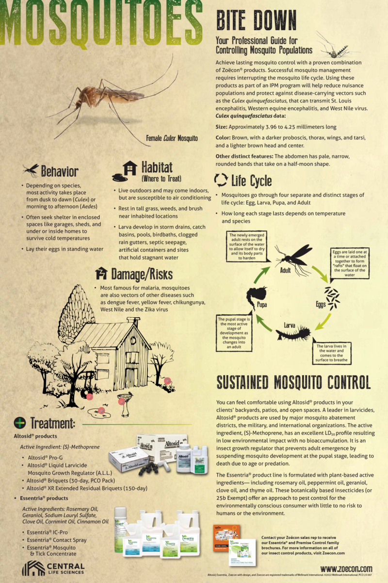 Zoecon Mosquito Poster