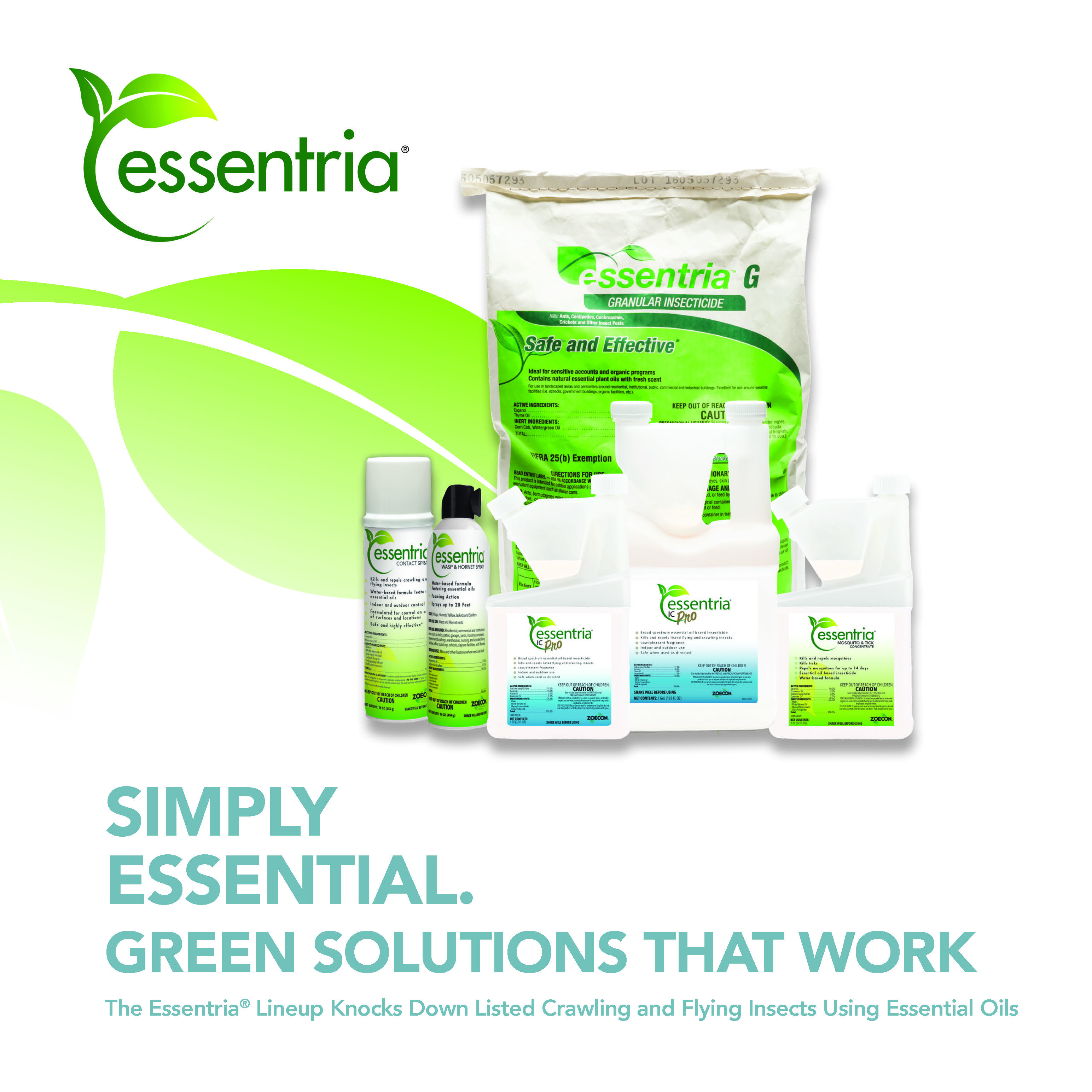 Essentria Family Brochure