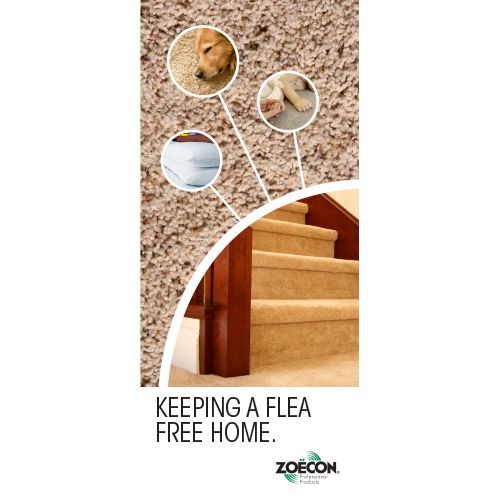 Precro Flea Treatment Brochure
