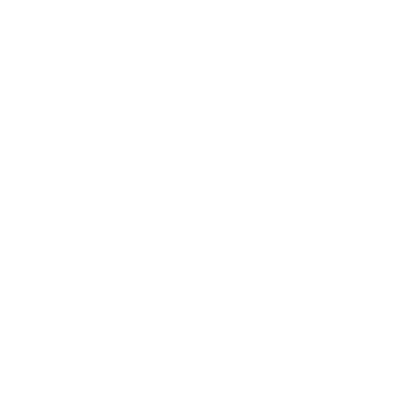 Zoeconference